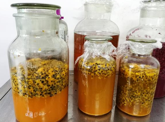 百香果简单酿酒的方法 百香果简单酿酒的方法