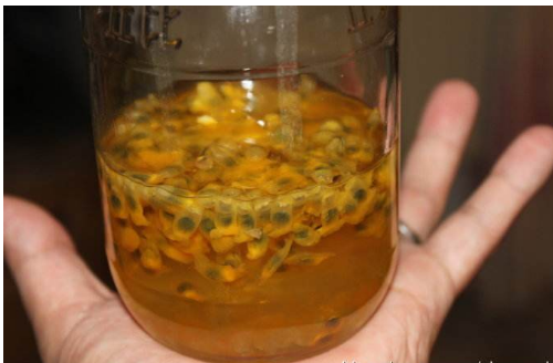 百香果简单酿酒的方法 百香果简单酿酒的方法