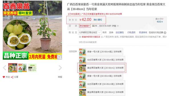 黄金百香果树苗价格 黄金百香果树苗价格