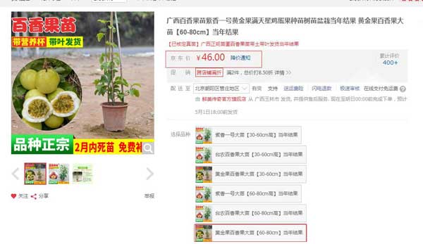 黄金百香果树苗价格 黄金百香果树苗价格