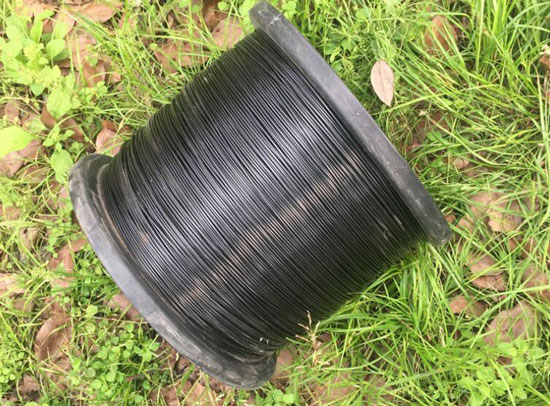 百香果搭棚用什么线好 百香果搭棚用什么线好