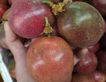 百香果大中小果的区分规格是什么？