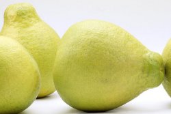 沙田柚和蜜柚哪个营养价值高?