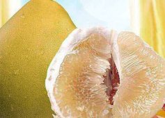 柚子的功效与作用及营养价值