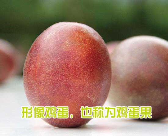 鸡蛋果 鸡蛋果