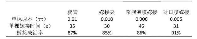 百香果苗木嫁接 百香果苗木嫁接